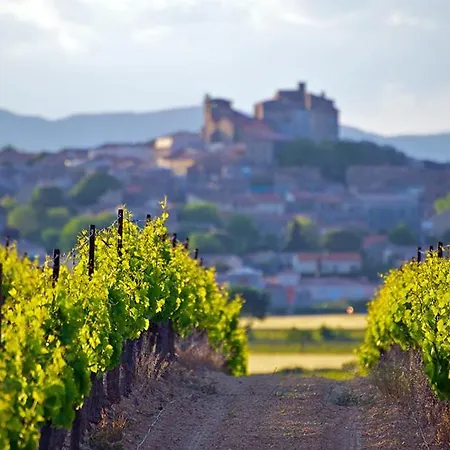 Prázdninový dům Charmante Maison Au Coeur Du Medoc